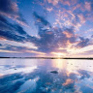 Meet your Posher, Tate